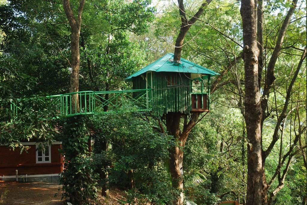 Eco-friendly resort architecture at Treetop Resort