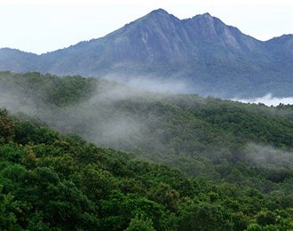 Silent Valley area near resort