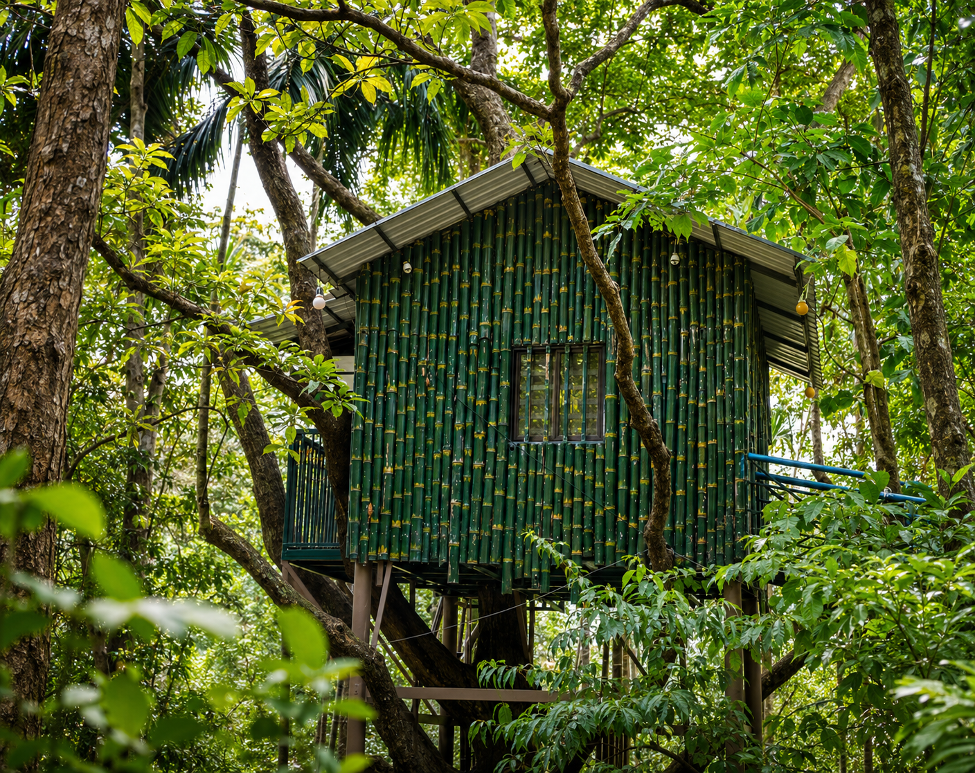 Tree House Deluxe